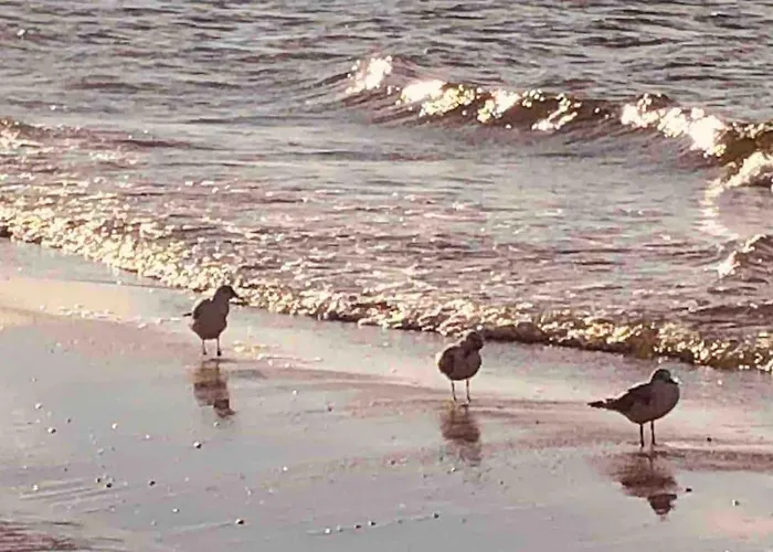 Nad Morzem Przy Klifie Debina Апартаменты