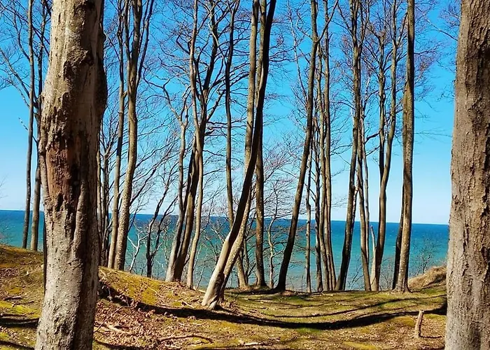 Nad Morzem Przy Klifie Debina *