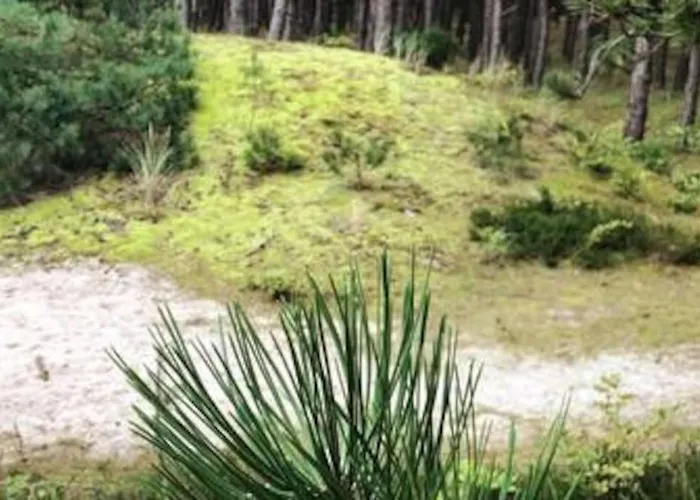 Nad Morzem Przy Klifie Debina Апартаменты Debina (Ustka)