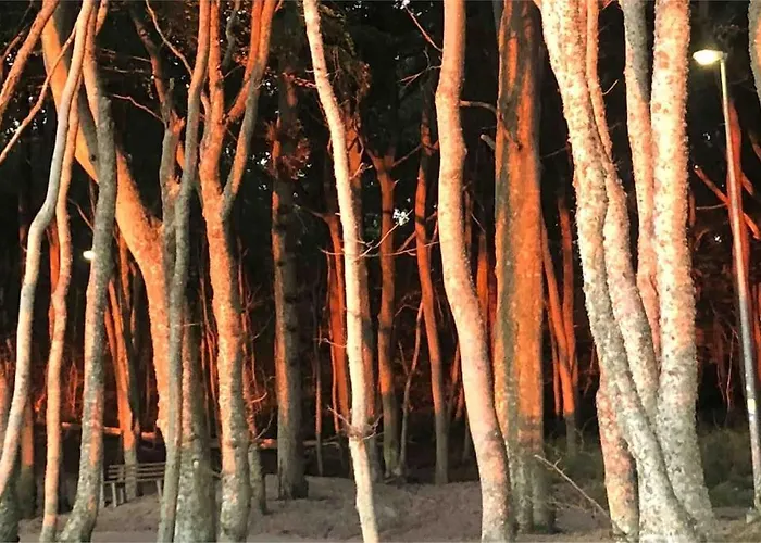 Апартаменты Nad Morzem Przy Klifie Debina Debina (Ustka)