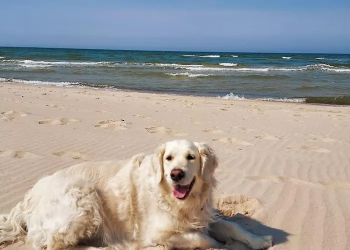 Апартаменты Nad Morzem Przy Klifie Debina Debina (Ustka)