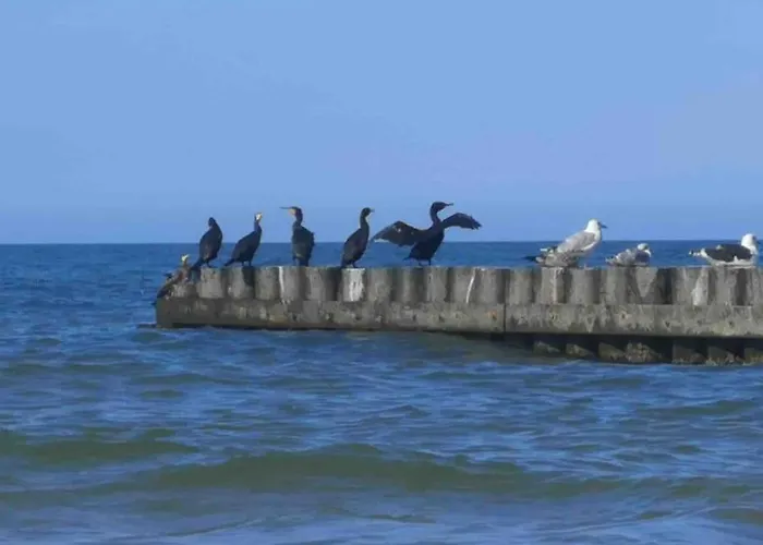 Nad Morzem Przy Klifie Debina Апартаменты Debina (Ustka)