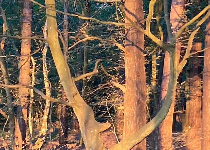 Nad Morzem Przy Klifie Debina * Debina (Ustka)