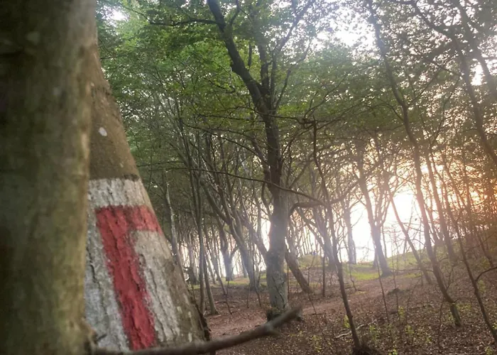 Nad Morzem Przy Klifie Debina Апартаменты