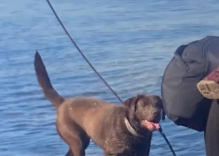 Nad Morzem Przy Klifie Debina *