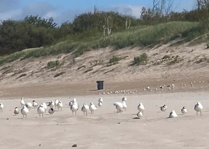 Апартаменты Nad Morzem Przy Klifie Debina