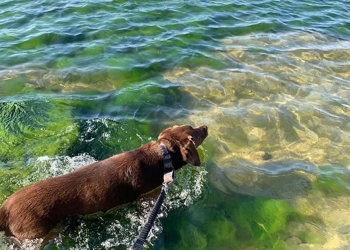 Апартаменты Nad Morzem Przy Klifie Debina *