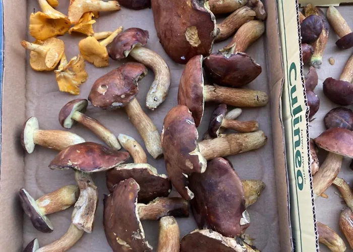 Nad Morzem Przy Klifie Debina Апартаменты